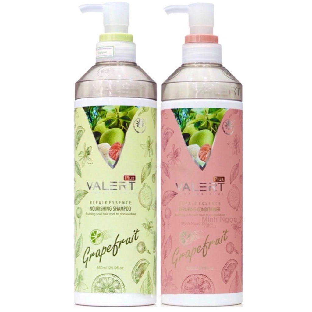 Bộ dầu gội xả hấp bưởi phục hồi, giảm rụng, mọc tóc nhanh Ailise Roucllty Valert Grapefruit 800ml