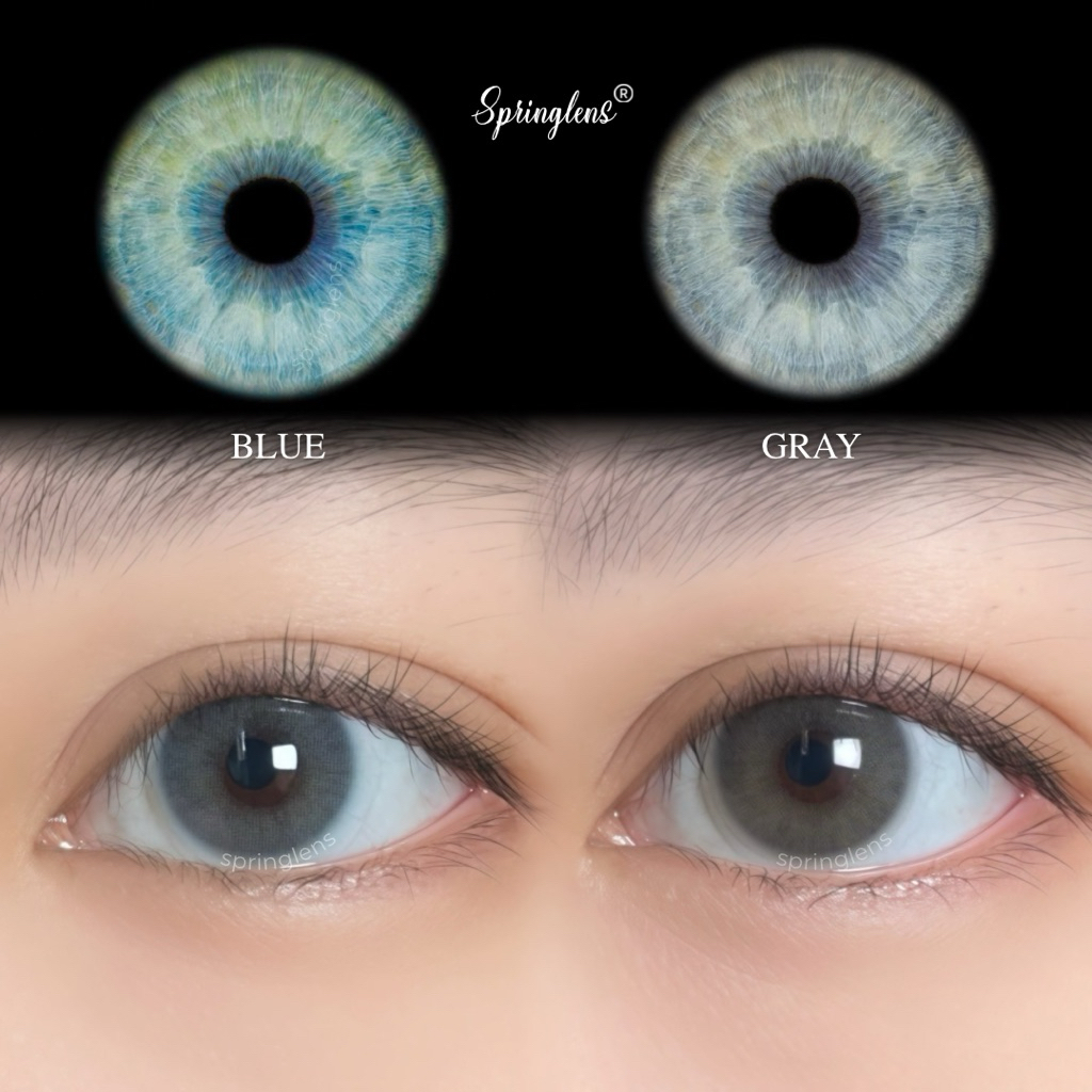 Kính áp tròng xanh biển AVA BLUE tây sáng vừa không giãn 3 tháng | Spring Lens