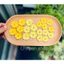 Hoa mai handmade làm từ giấy màu Mỹ thuật