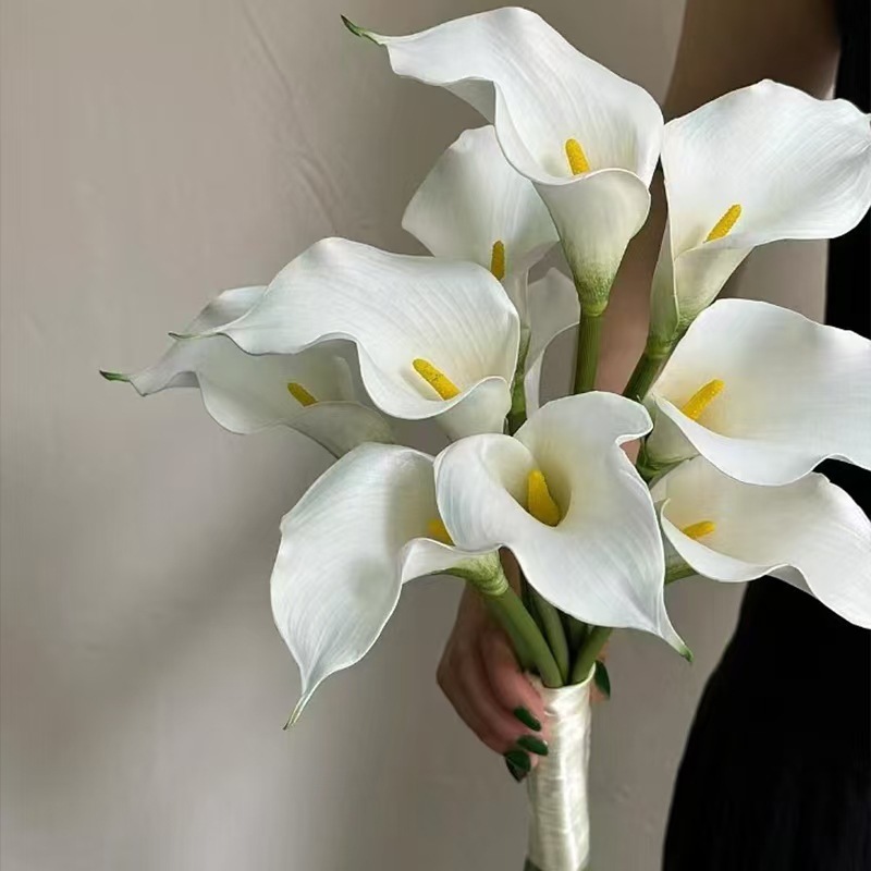 Calla lily - Giá Tốt, Sale Tháng 07, Ship 0 Đồng | Shopee Việt Nam