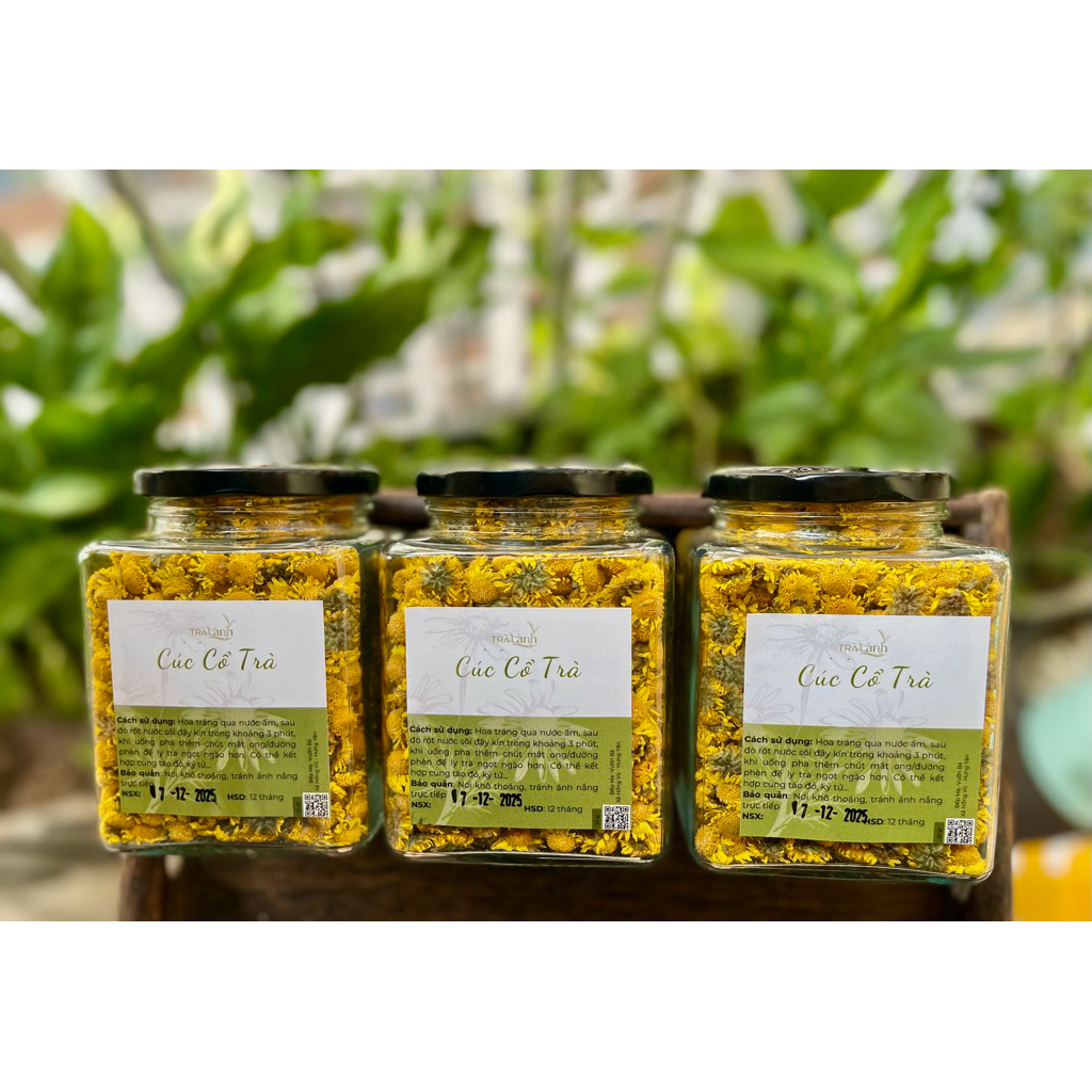 Cúc Cổ Trà