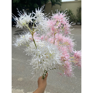 Cành hoa sao tuyết cao 70cm bông to siêu đẹp, hoa lụa