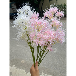 Cành hoa sao tuyết cao 70cm bông to siêu đẹp, hoa lụa