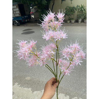 Cành hoa sao tuyết cao 70cm bông to siêu đẹp, hoa lụa