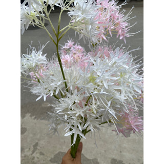 Cành hoa sao tuyết cao 70cm bông to siêu đẹp, hoa lụa