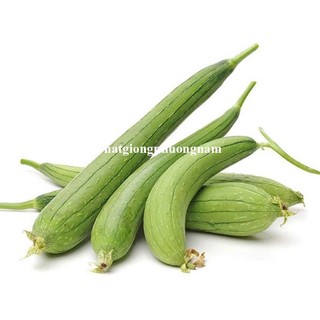 Hạt Giống Mướp Ngọt - Mướp Đắng (Khổ Qua)  Phương Nam - Nảy Mầm Tốt - Trồng Quanh Năm