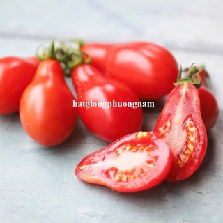 Hạt Giống Dưa Hấu - Dưa Leo  - Cà Chua Phương Nam - Chịu Nhiệt Tốt - Trồng Quanh Năm