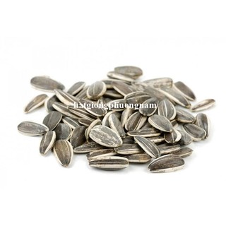 Hạt Giống Hoa Hướng Dương Phương Nam - Trồng Quanh Năm - Sinh Trưởng Khỏe - Dễ Chăm Sóc