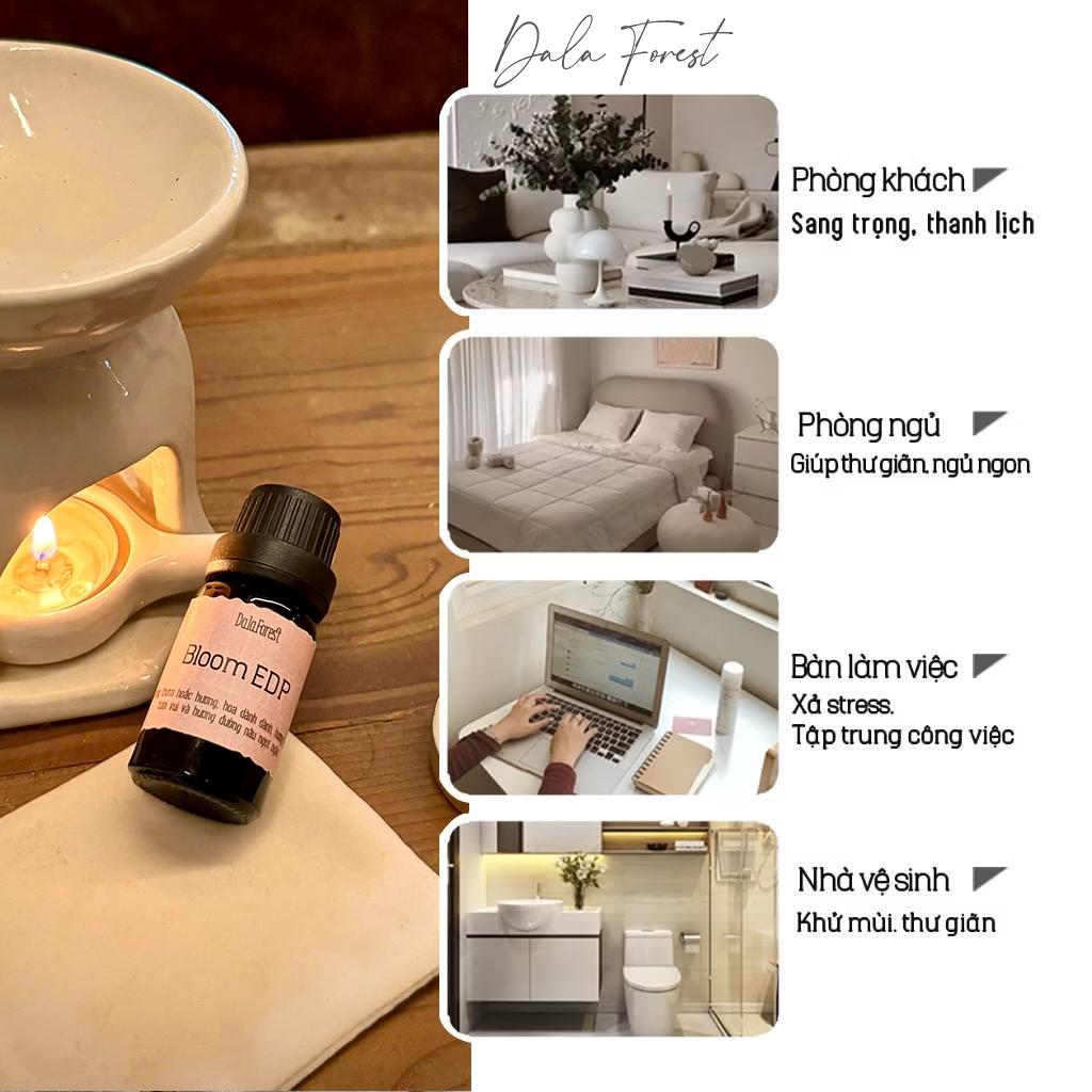 Lọ Tinh Dầu Tiêu Chuẩn - Tinh Dầu Hương Nước Hoa Bloom Edf Dala Forest