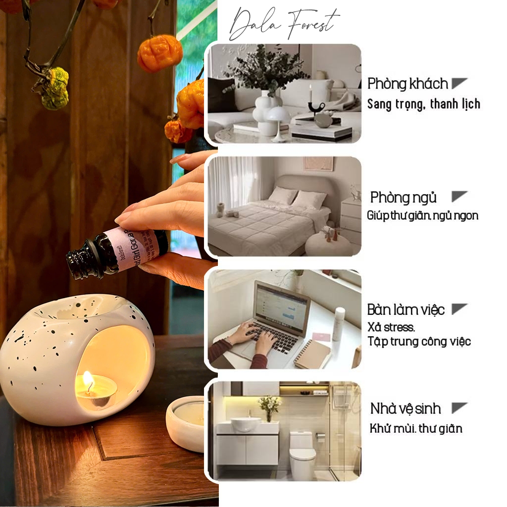 Lọ Tinh Dầu Tiêu Chuẩn - Tinh Dầu Nước Hoa Gone Bad Dala Forest