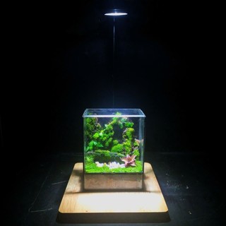 Terrarium Phong Thủy "LINH LỘC SƠN CỐC" Thung Lũng Tụ Khí, Nơi Linh Thú Ngự Trị Quà tặng tết ý nghĩa