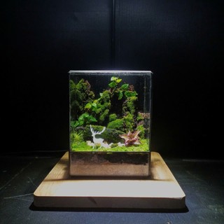 Terrarium Phong Thủy "LINH LỘC SƠN CỐC" Thung Lũng Tụ Khí, Nơi Linh Thú Ngự Trị Quà tặng tết ý nghĩa