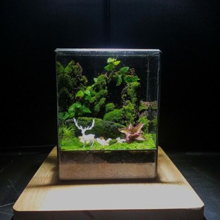 Terrarium Phong Thủy "LINH LỘC SƠN CỐC" Thung Lũng Tụ Khí, Nơi Linh Thú Ngự Trị Quà tặng tết ý nghĩa