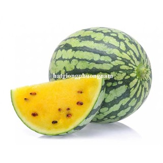 Hạt Giống Cây Ăn Trái Phương Nam - Đủ Loại - Phù Hợp Trồng Thương Phẩm