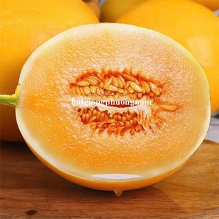 10 Hạt - Hạt Giống Dưa Chuột Chùm Siêu Trái Phương Nam