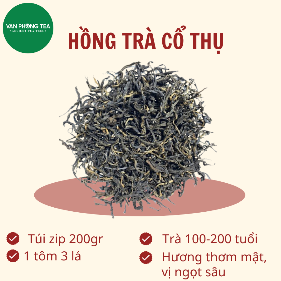 Trà Vân Phong, Cửa hàng trực tuyến | Shopee Việt Nam