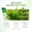 Bột Uống Cần Tây Diếp Cá Mật Ong Daily Effect
