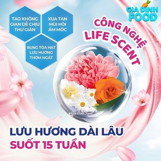 Túi Treo Thơm Mát Hygiene 5 Mùi Hương 8g
