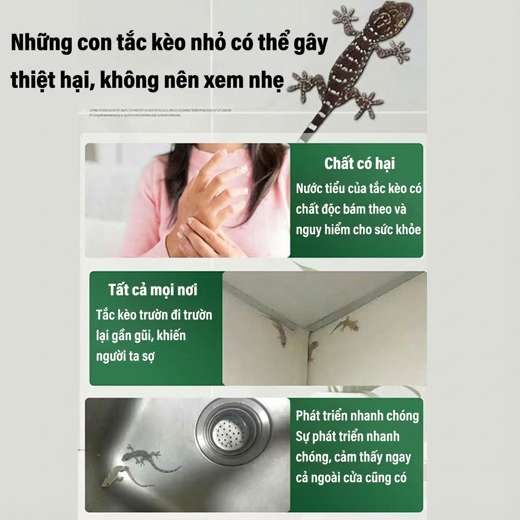 Độc quyền toàn mạng BS Xua Đuổi Thằn Lằn thuốc đuổi thằn lằn Thành phần từ thực vật • 18 viên/túi