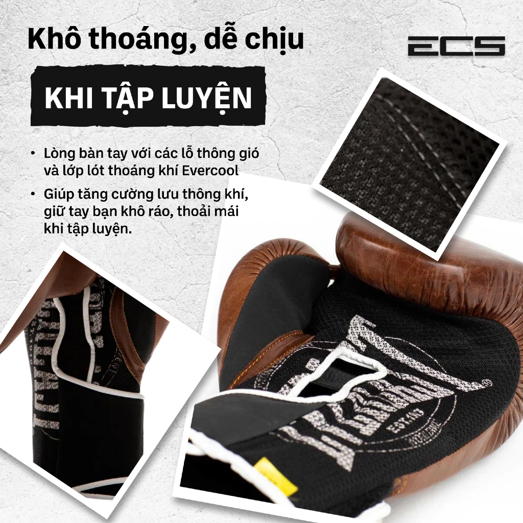 Găng boxing Everlast Classic 1910 - Logo khắc laser, Khóa dán cổ tay chắc chắn, Da bò nguyên tấm