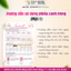 10 que thử trứng + 2 que thử thai tặng bảng canh cho mẹ thả bầu- Nhật Đức, bsk, trà OvaQ