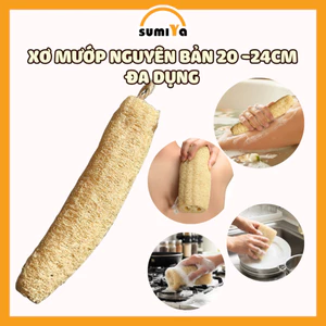 Xơ Mướp Nguyên Trái 20 -24cm Đa Dụng Tắm Tẩy Tế Bào Chết Rửa Bát Thiên Nhiên 100%