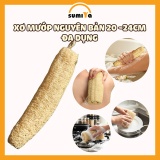 Xơ Mướp Nguyên Trái 20 -24cm Đa Dụng Tắm Tẩy Tế Bào Chết Rửa Bát Thiên Nhiên 100%