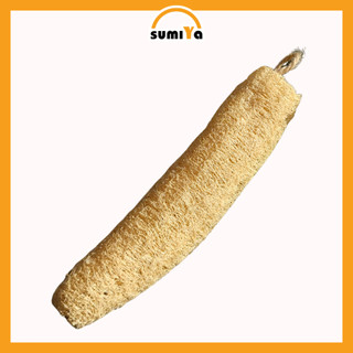 Xơ Mướp Nguyên Trái 20 -24cm Đa Dụng Tắm Tẩy Tế Bào Chết Rửa Bát Thiên Nhiên 100%
