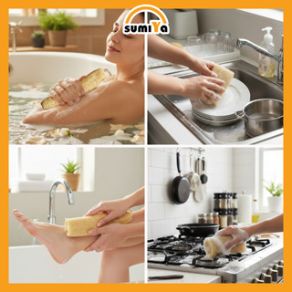 Xơ Mướp Nguyên Trái 20 -24cm Đa Dụng Tắm Tẩy Tế Bào Chết Rửa Bát Thiên Nhiên 100%