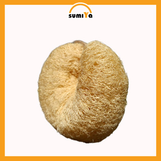 Bông Tắm Xơ Mướp Nguyên Bản Tắm Tẩy Tế Bào Chết Mát Xa Thiên Nhiên 100%
