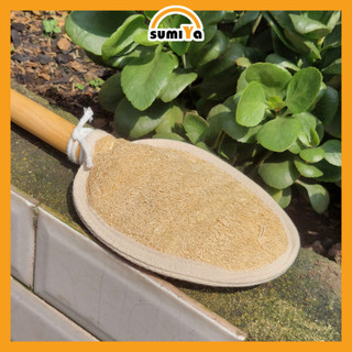 Cây kỳ Lưng Xơ Mướp Cán Gỗ Tẩy Tế Bào Chết Mát Xa Lưng Thiên Nhiên 100%