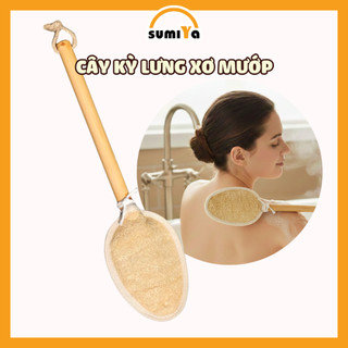 Cây kỳ Lưng Xơ Mướp Cán Gỗ Tẩy Tế Bào Chết Mát Xa Lưng Thiên Nhiên 100%
