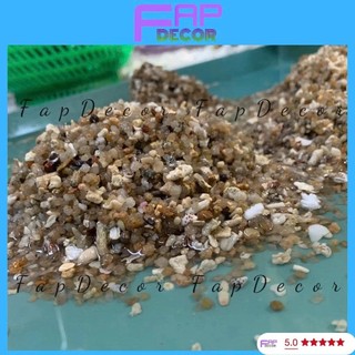 ĐẤT LÓT NỀN BỂ CÁ CẢNH, ĐÁT THỦY SINH TRANG TRÍ HỒ CÁ, LỌC NƯỚC