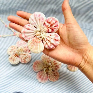 Kẹp tóc vỏ sò tự nhiên phù hợp du lịch biển,chụp hình🌊