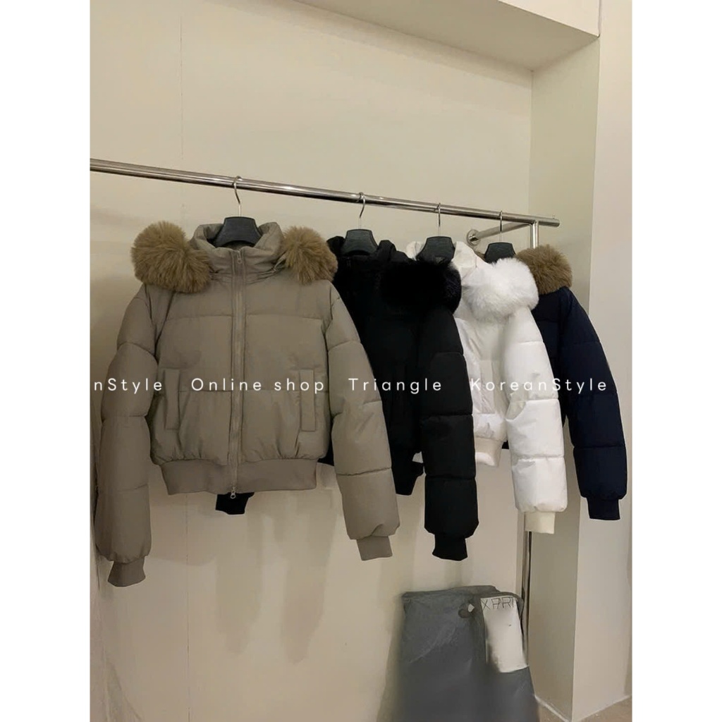 TRIANGLE - Good Puffer Jacket (Cân nhắc kỹ, return is not welcomed) - Áo khoác phao mũ lông phong cách Hàn Quốc ấm áp