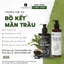Dầu gội Bồ kết Mần trầu & Dầu xả Hương Thảo VIETKET - Làm Sạch Đầu, Giảm Gàu Ngứa, Hỗ Trợ Mọc Tóc
