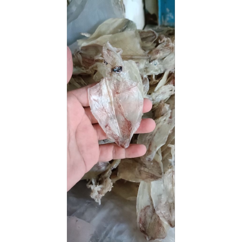 100g KHÔ MỰC MINI,NGỌT NGON ,( SIZE 150-170con)