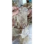 100g Mực Size cở 3ngón tay (size 80-90con)