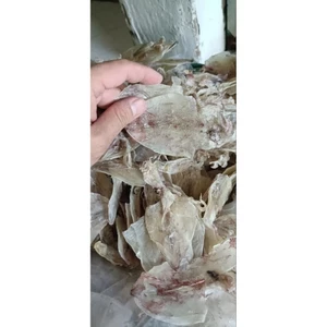100g KHÔ MỰC MINI,NGỌT NGON ,( SIZE 150-170con)