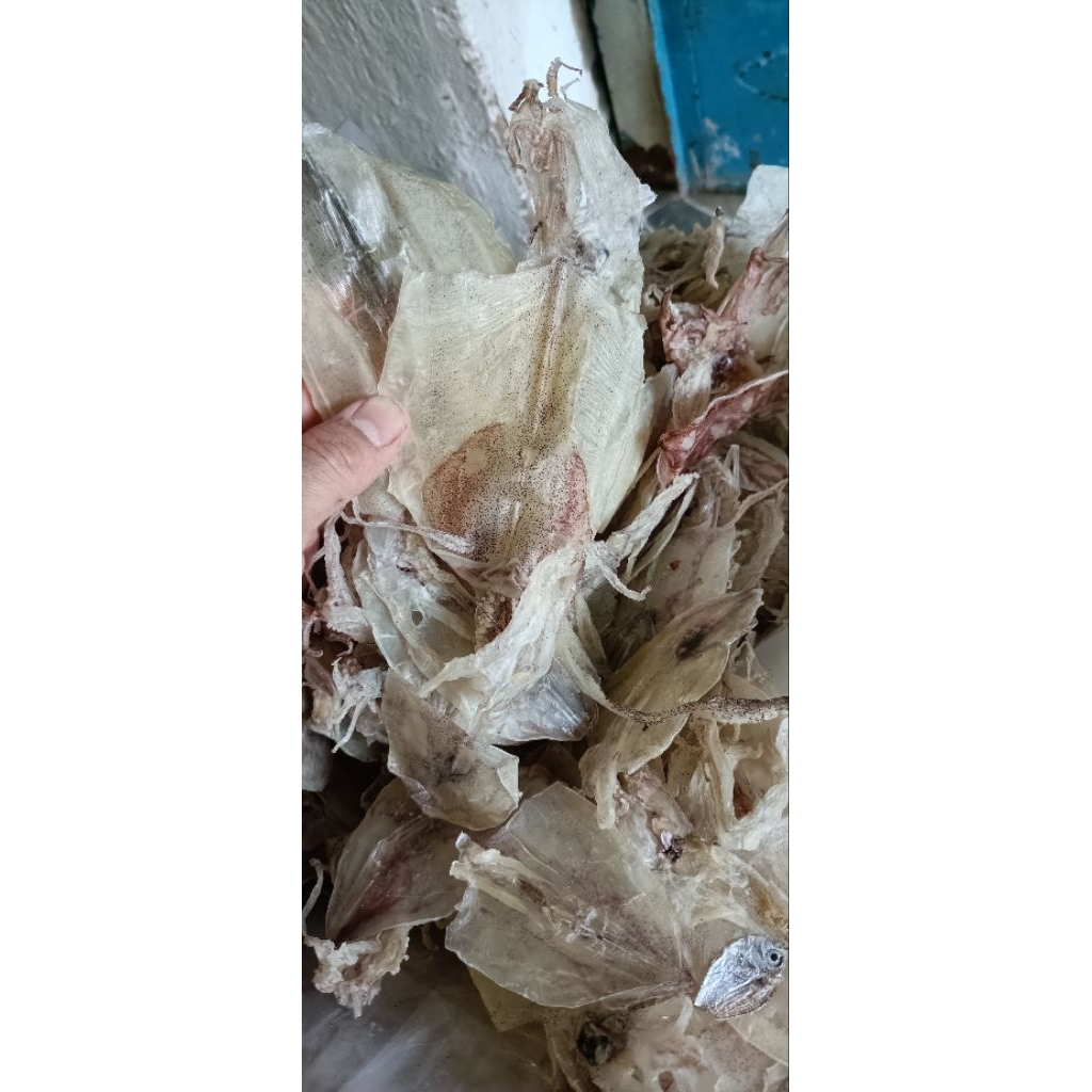 100g KHÔ MỰC MINI,NGỌT NGON ,( SIZE 150-170con)