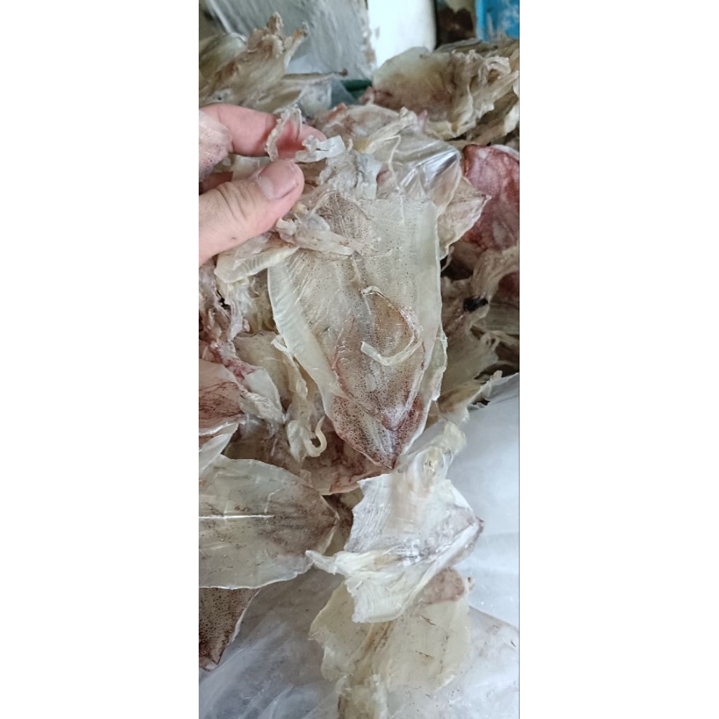 100g KHÔ MỰC MINI,NGỌT NGON ,( SIZE 150-170con)