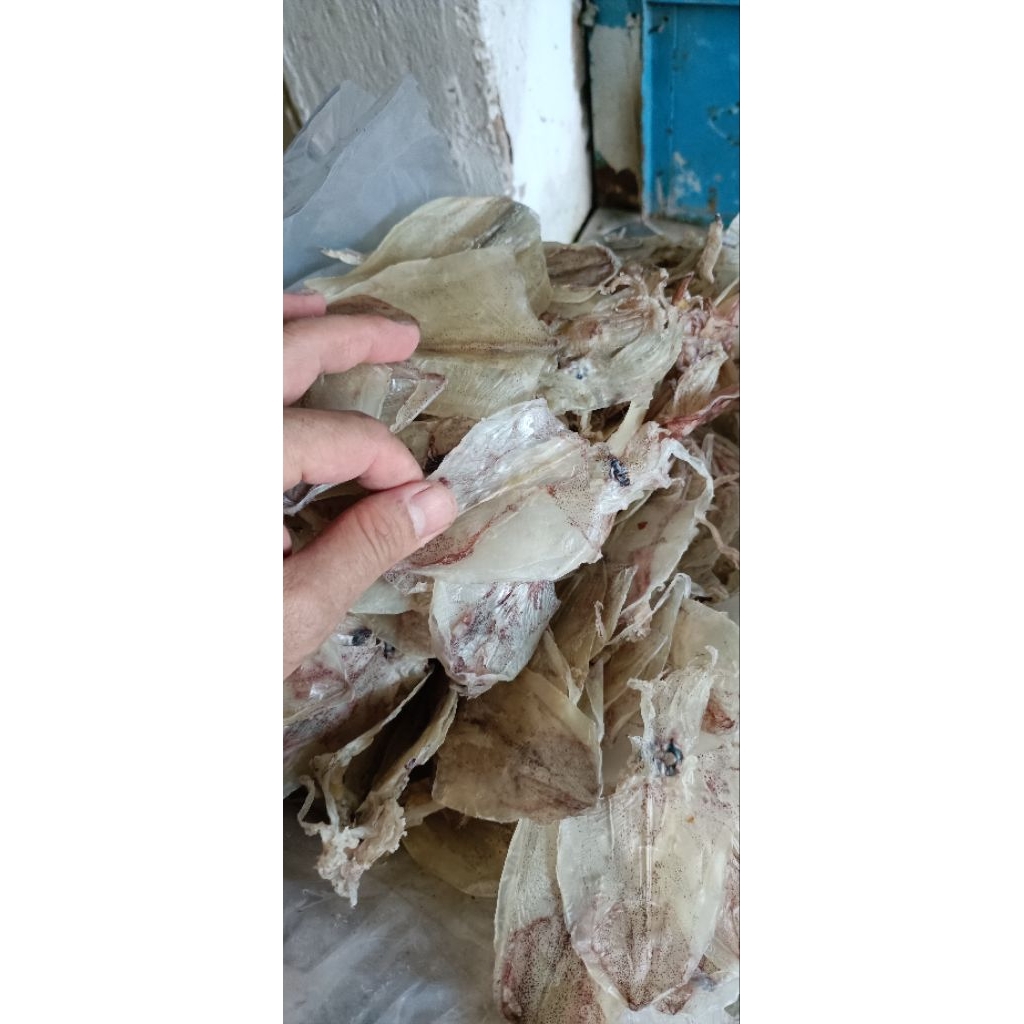 100g KHÔ MỰC MINI,NGỌT NGON ,( SIZE 150-170con)