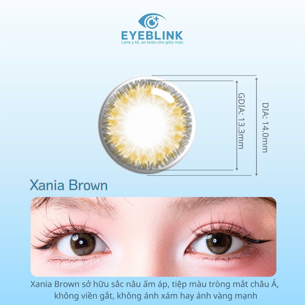 Kính áp tròng y tế Xania Brown chất liệu Silicone hydrogel chống tia UV hạn dùng 6 tháng Eyeblink