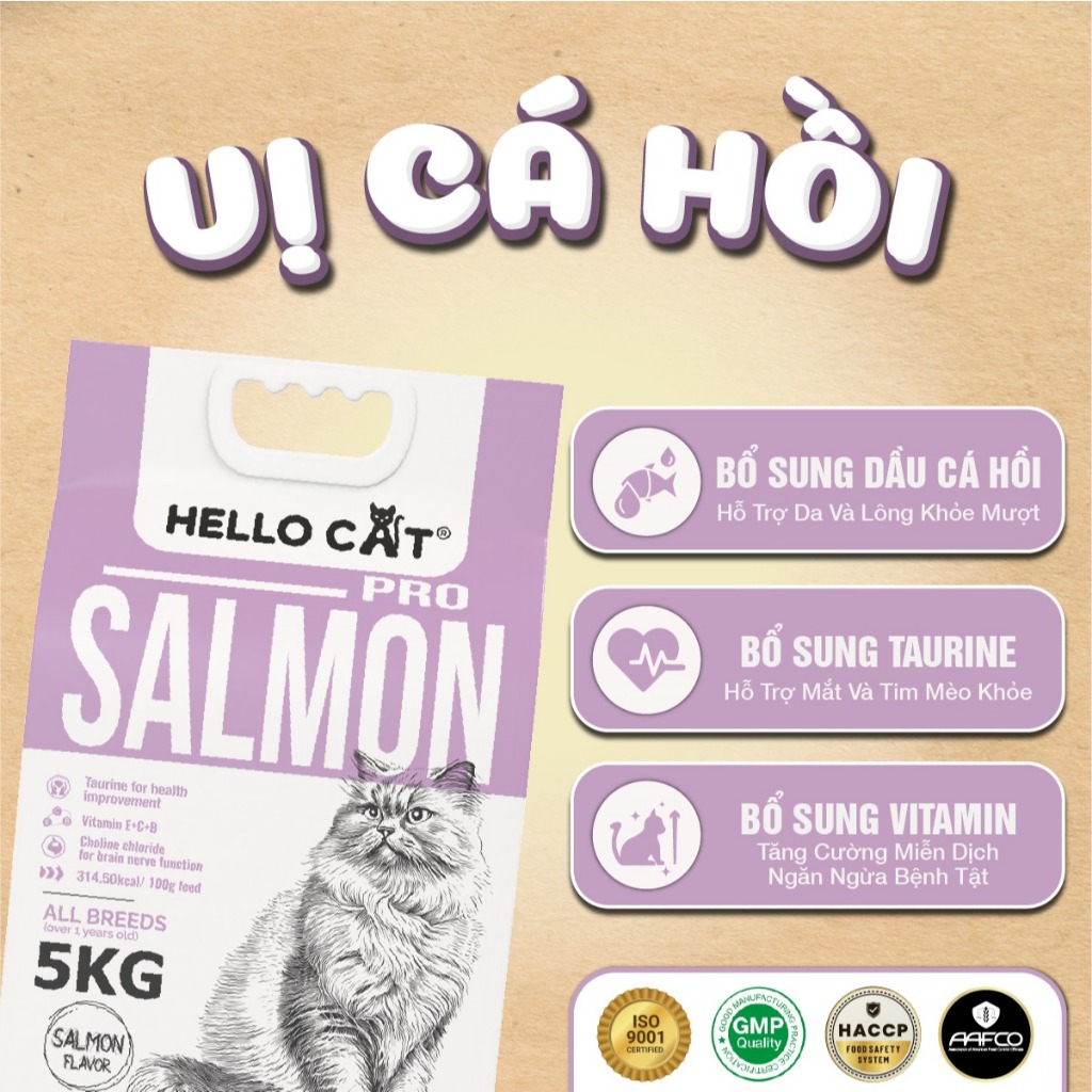 Hạt Cho Mèo Hello Cat Salmon Vị Cá Hồi Túi 5kg – Hạt Dinh Dưỡng Cho Mèo Trưởng Thành