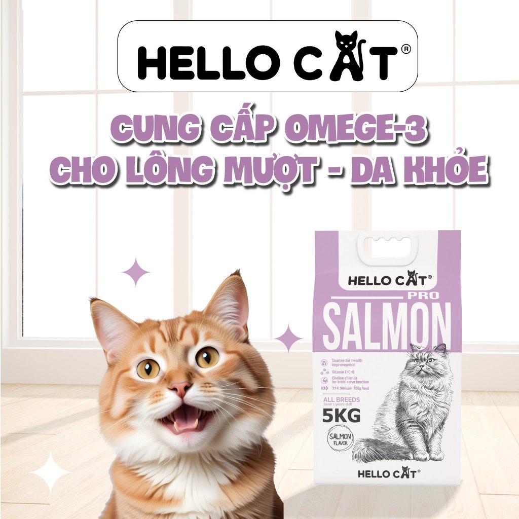 Hạt Cho Mèo Hello Cat Salmon Vị Cá Hồi Túi 5kg – Hạt Dinh Dưỡng Cho Mèo Trưởng Thành
