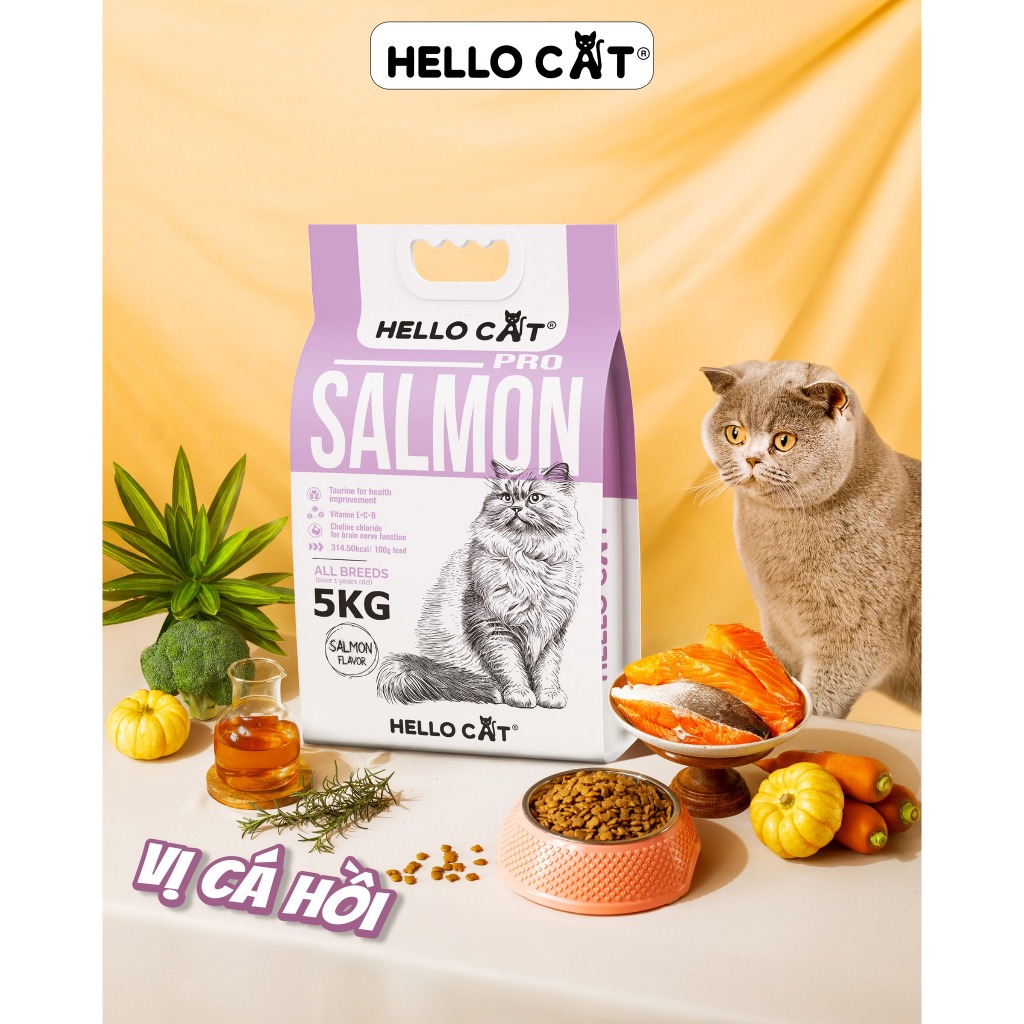 Hạt Cho Mèo Hello Cat Salmon Vị Cá Hồi Túi 5kg – Hạt Dinh Dưỡng Cho Mèo Trưởng Thành