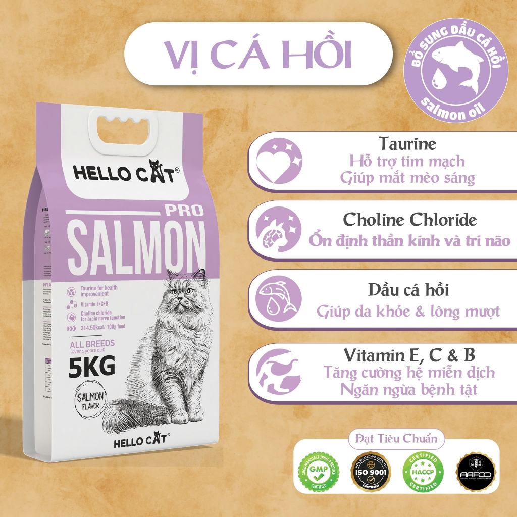 Hạt Cho Mèo Hello Cat Salmon Vị Cá Hồi Túi 5kg – Hạt Dinh Dưỡng Cho Mèo Trưởng Thành