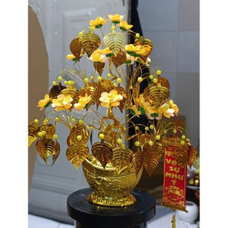cây kim tiền chiêu tài lộc 30cm lá bồ đề trang trí nhà cửa tặng bạn bè chưng bàn thờ .