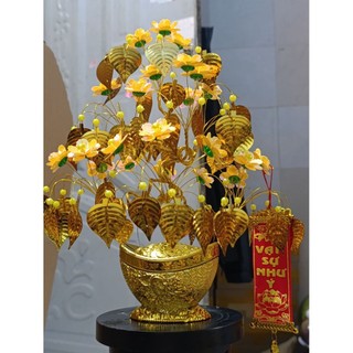 cây kim tiền chiêu tài lộc 30cm lá bồ đề trang trí nhà cửa tặng bạn bè chưng bàn thờ .