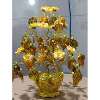 cây kim tiền chiêu tài lộc 30cm lá bồ đề trang trí nhà cửa tặng bạn bè chưng bàn thờ .